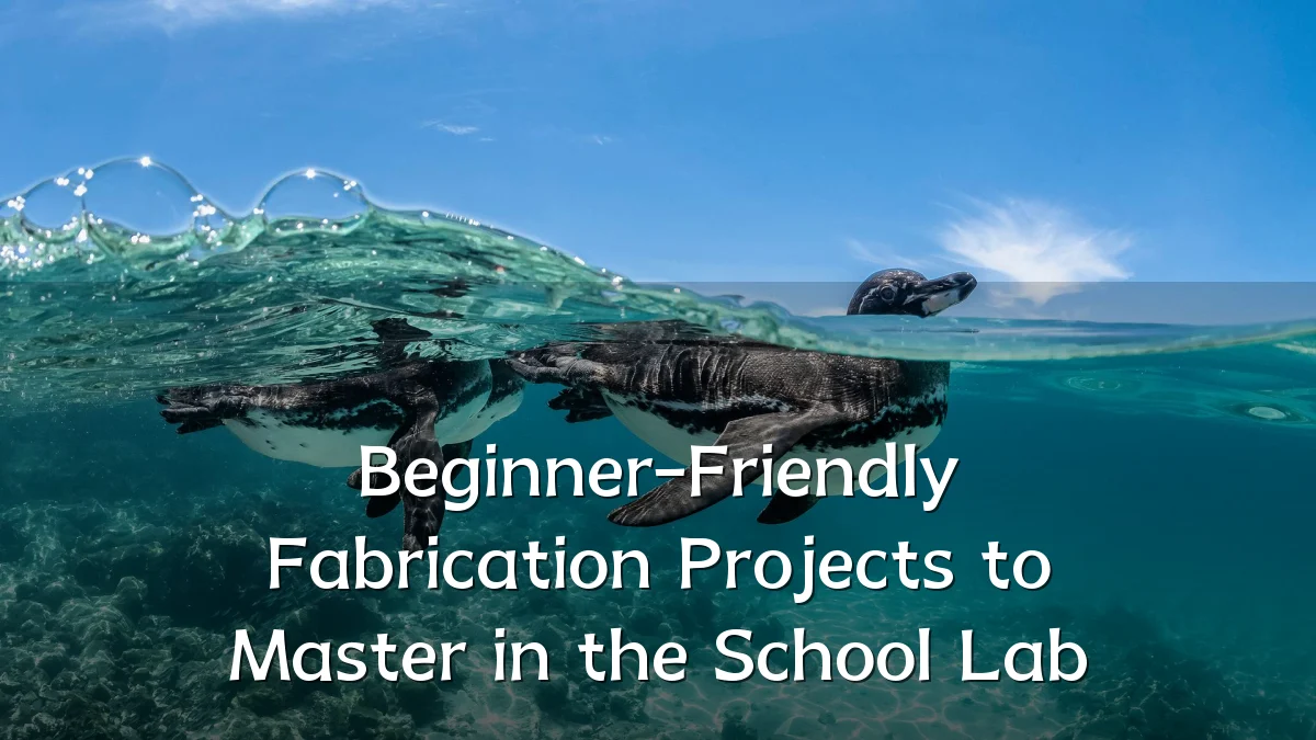 Beginner-Friendly Fabrication Projects to Master in the School Lab