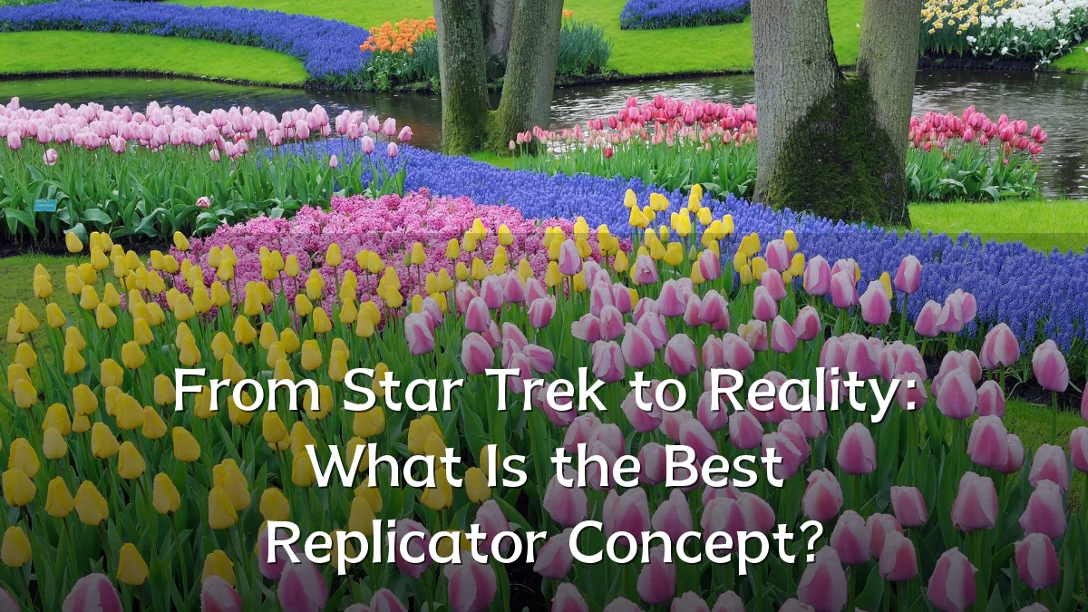 From Star Trek to Reality: What Is the Best Replicator Concept?