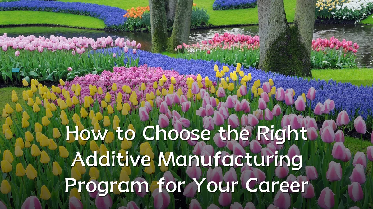 How to Choose the Right Additive Manufacturing Program for Your Career