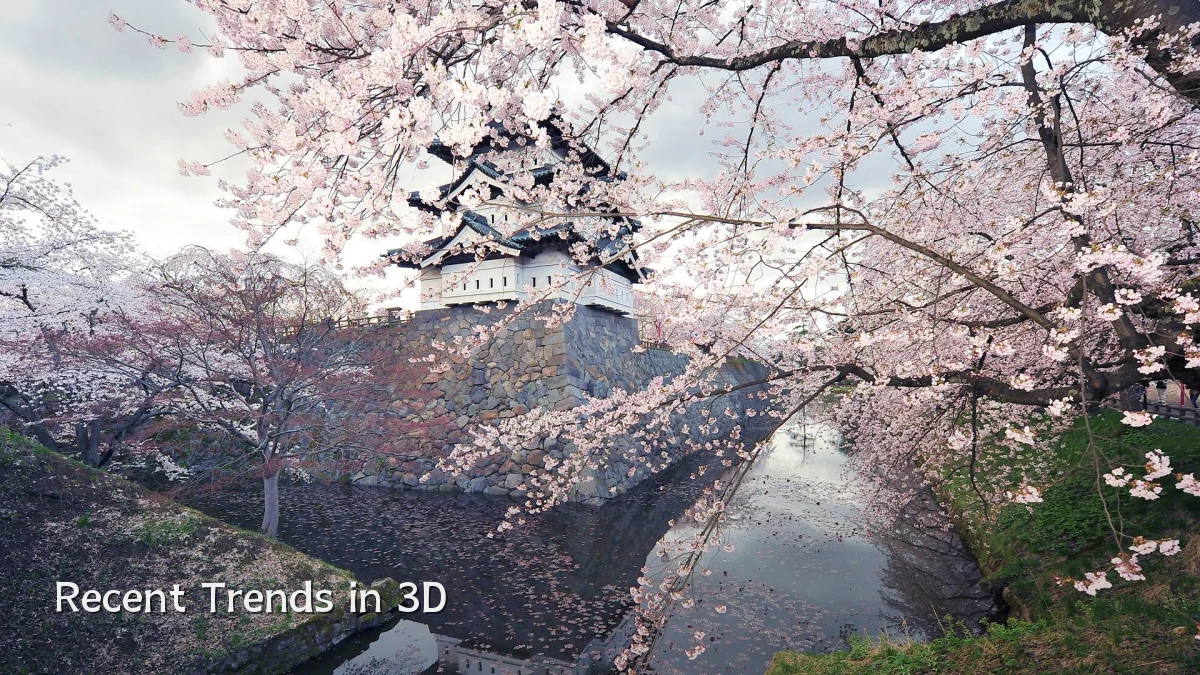 Recent Trends in 3D