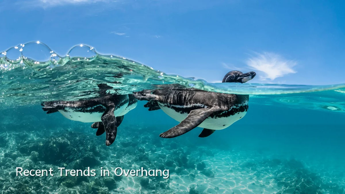 Recent Trends in Overhang