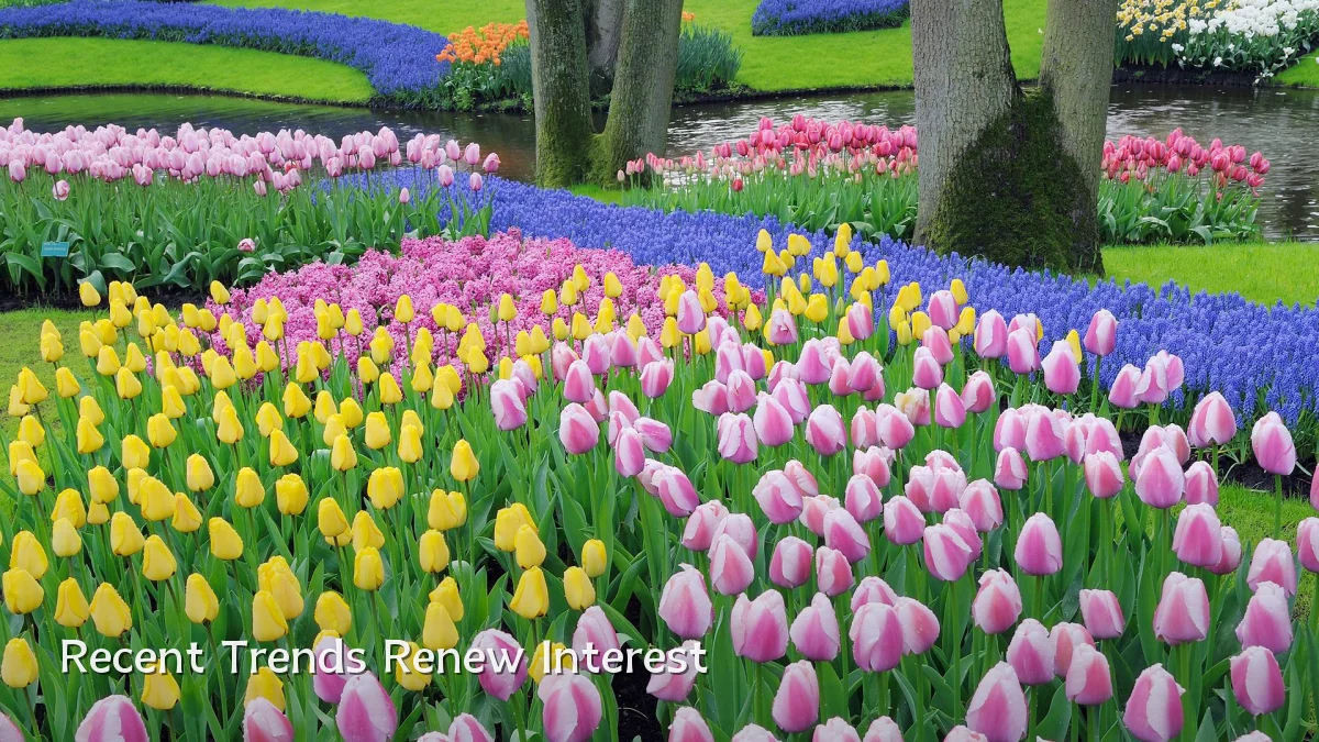 Recent Trends Renew Interest