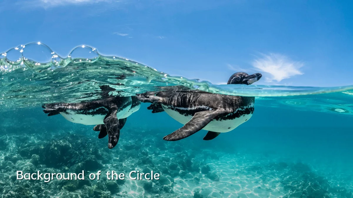 Background of the Circle