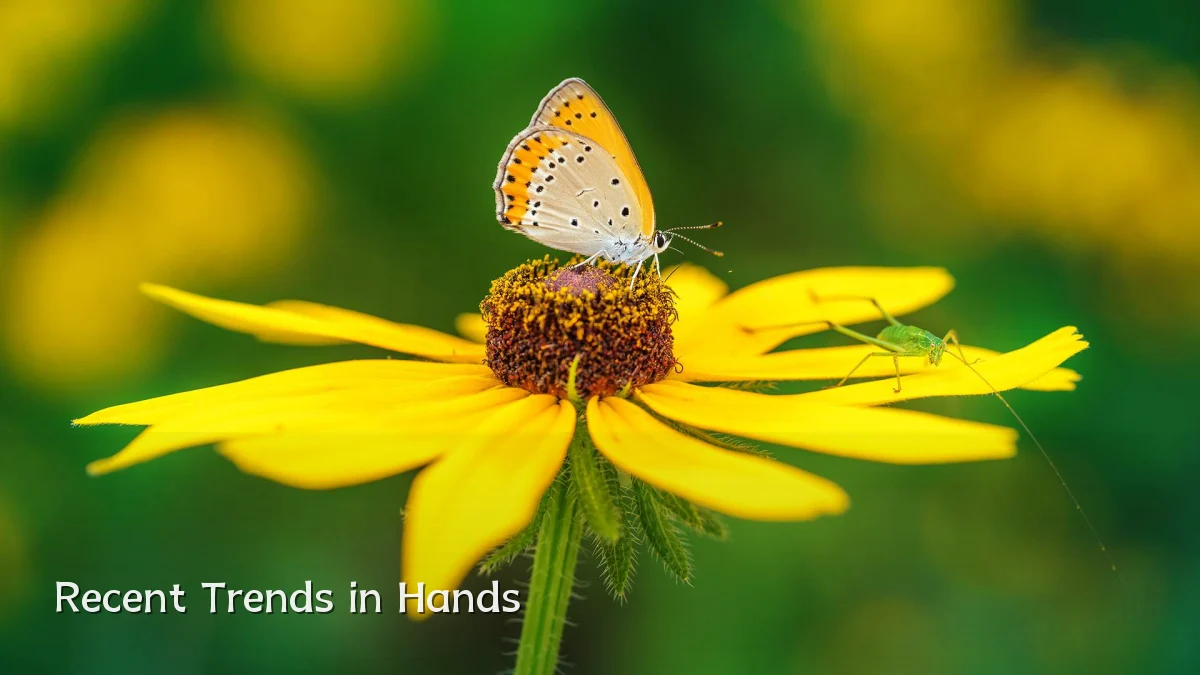 Recent Trends in Hands