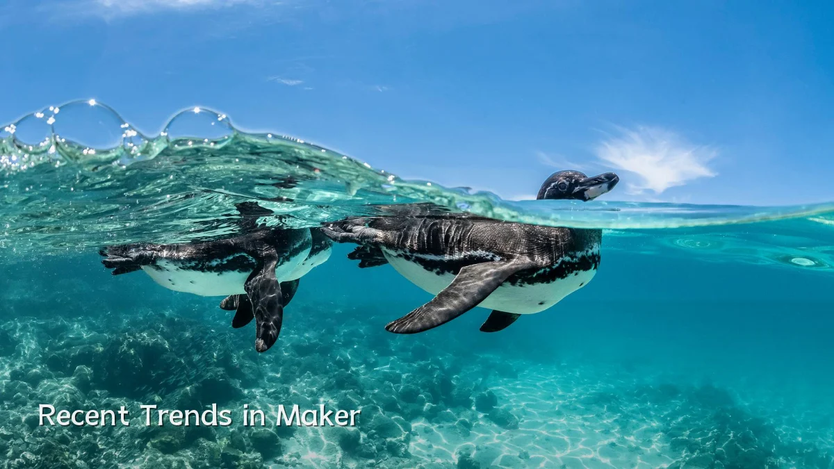 Recent Trends in Maker