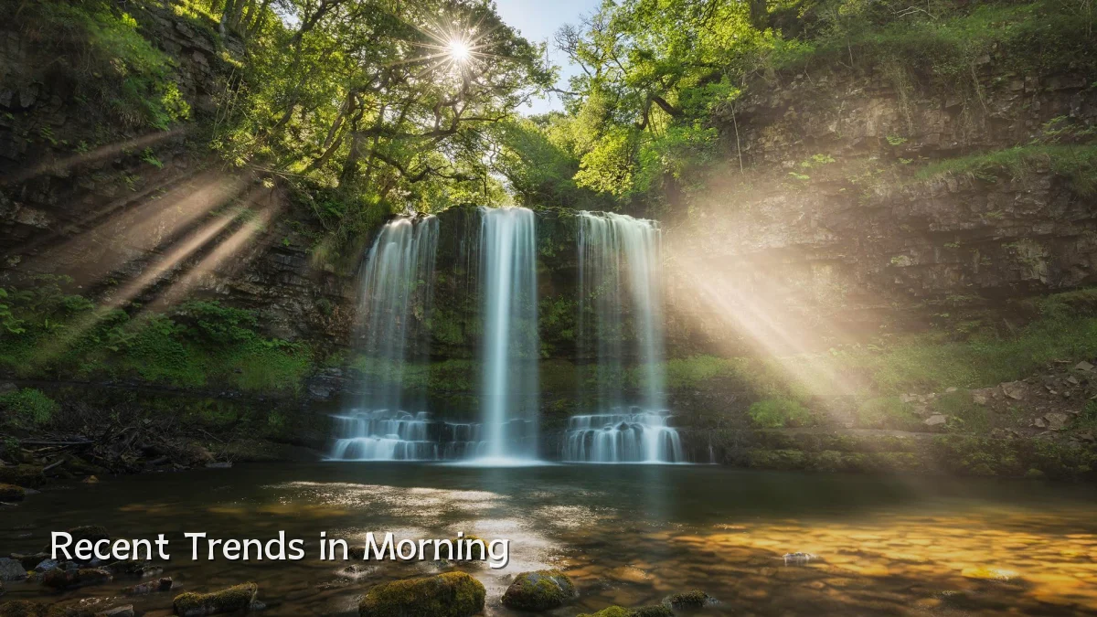Recent Trends in Morning