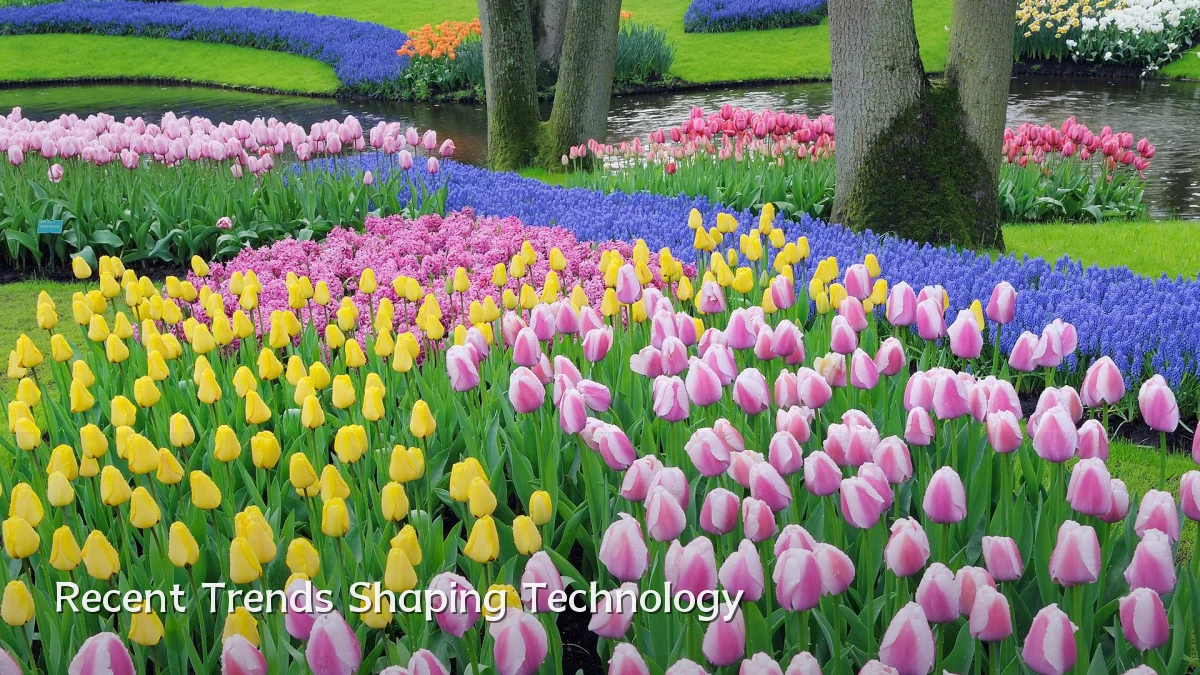 Recent Trends Shaping Technology